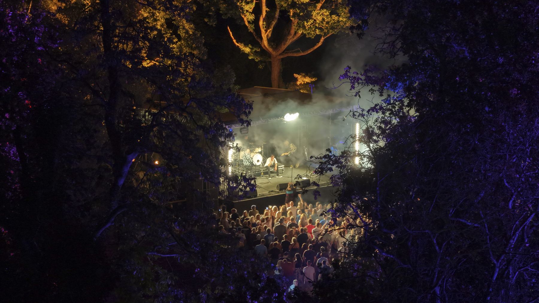 Strings Festival stage framed by surrounding trees, performer under white lighting with smoke, audience below
