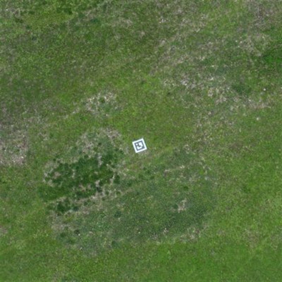 Close view of a coded ground control target on grass, as resolved in the orthomosaic