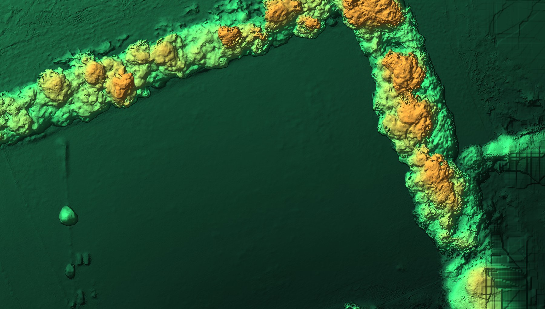 Shaded-relief digital surface model of surveyed farmland, hedgerow tree crowns picked out in orange against the green ground surface