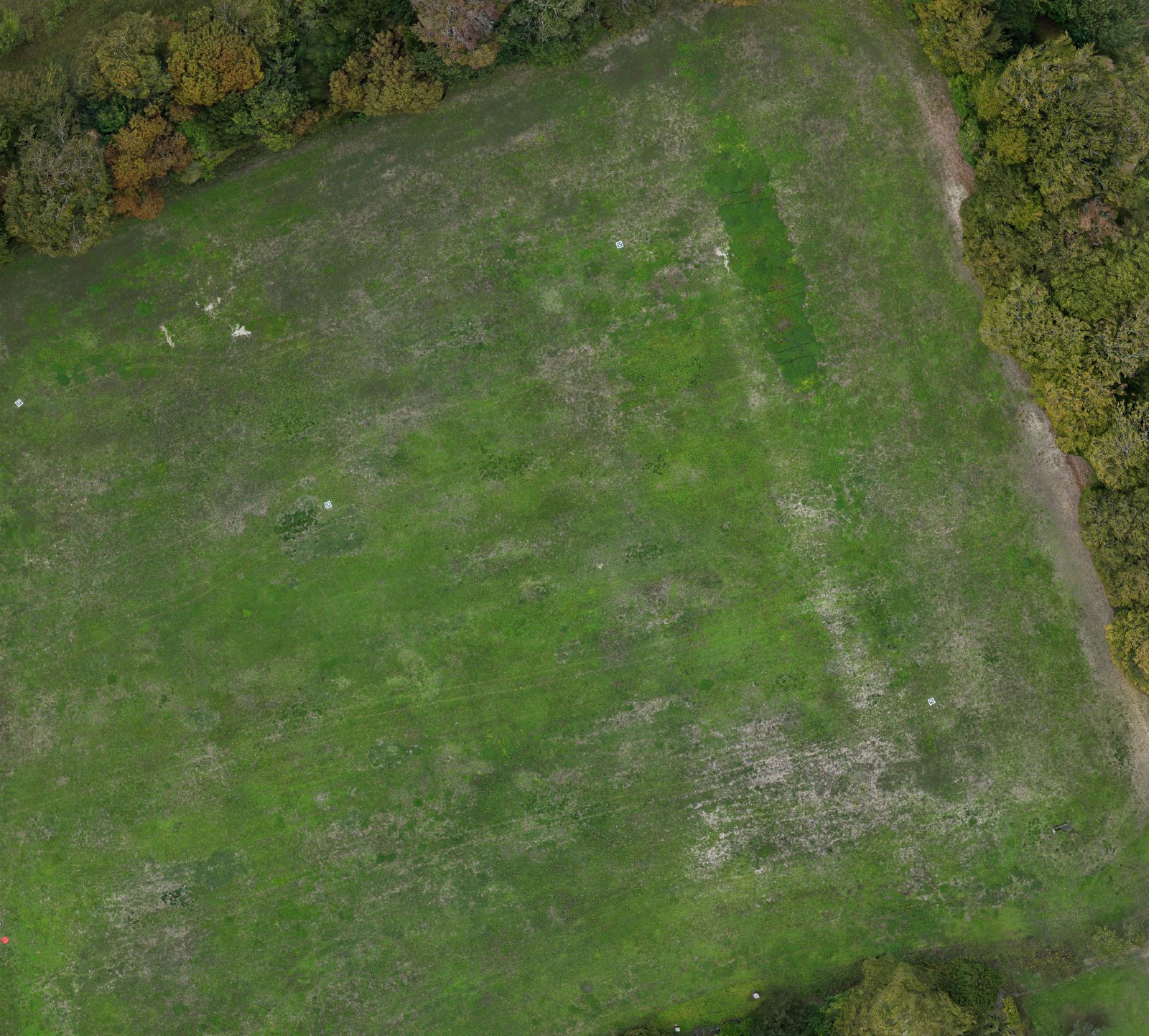 True-colour aerial orthomosaic of open parkland at Worting House, Basingstoke, bounded by mature hedgerows