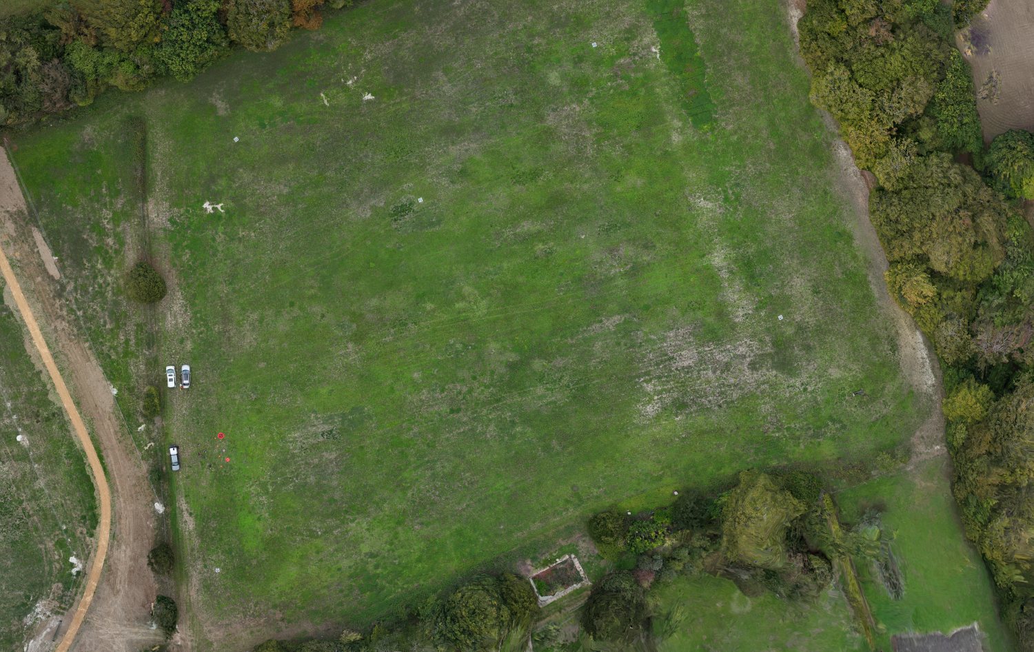 Aerial orthomosaic of surveyed parkland at Worting House, Basingstoke, bounded by mature tree belts, with ground control targets visible as small white squares across the grass